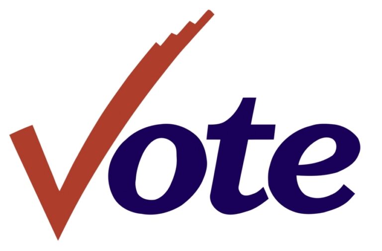 Field set for November 4 municipal elections