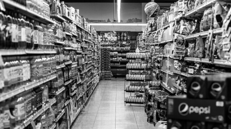 Opinion | The Pesky Details Intruding on Mamdani’s Grocery Plan
